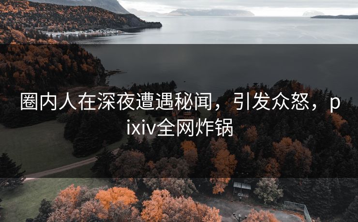 圈内人在深夜遭遇秘闻，引发众怒，pixiv全网炸锅