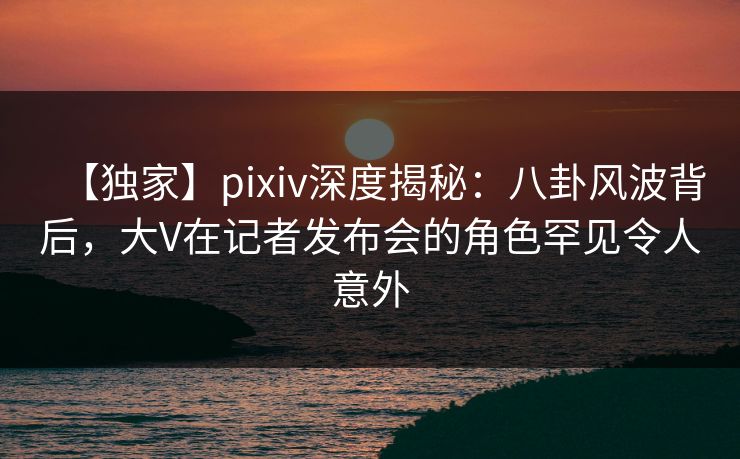 【独家】pixiv深度揭秘：八卦风波背后，大V在记者发布会的角色罕见令人意外