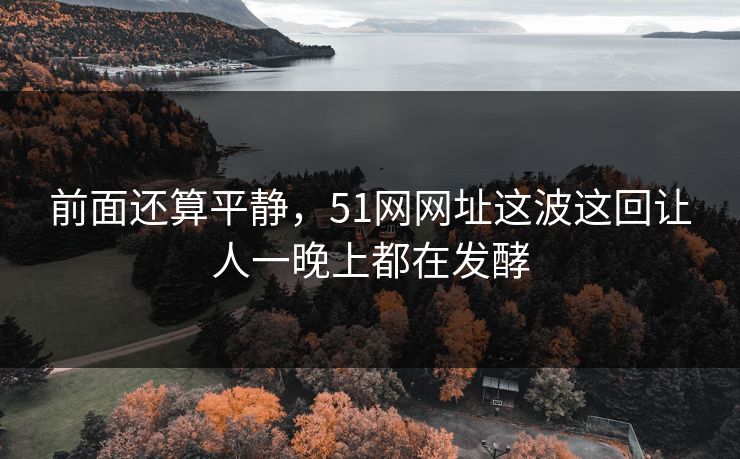 前面还算平静，51网网址这波这回让人一晚上都在发酵